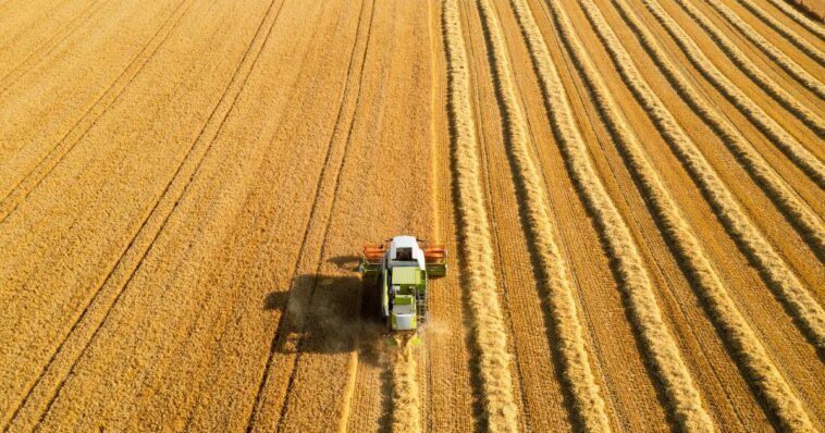 trump-usda’s-latest-move-paves-path-for-agricultural-prosperity-by-unleashing-reliable-energy