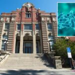 deadly-bacteria-discovered-at-la-medical-office-as-employee-tests-positive-for-airborne-disease
