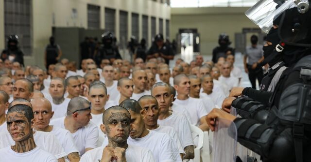 el-salvador-logs-over-10,500-gang-member-convictions-since-2022