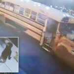 quick-thinking-minnesota-hero-jumps-on-runaway-school-bus-to-rescue-19-kids,-reveals-shock-inspiration