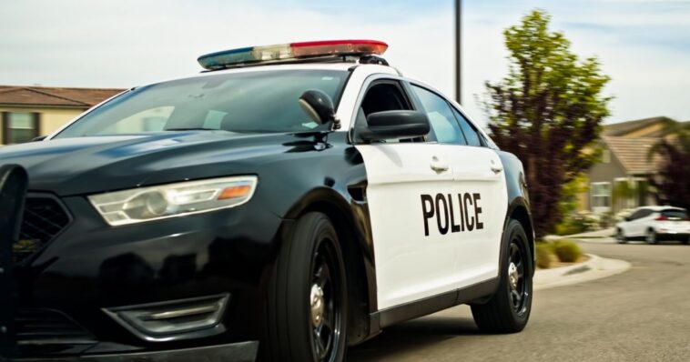 entire-georgia-police-department-quits-after-chief-discovers-tracker-on-his-vehicle