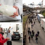 a-truckers’-protest-halts-the-production-of-italy’s-famed-buffalo-mozzarella