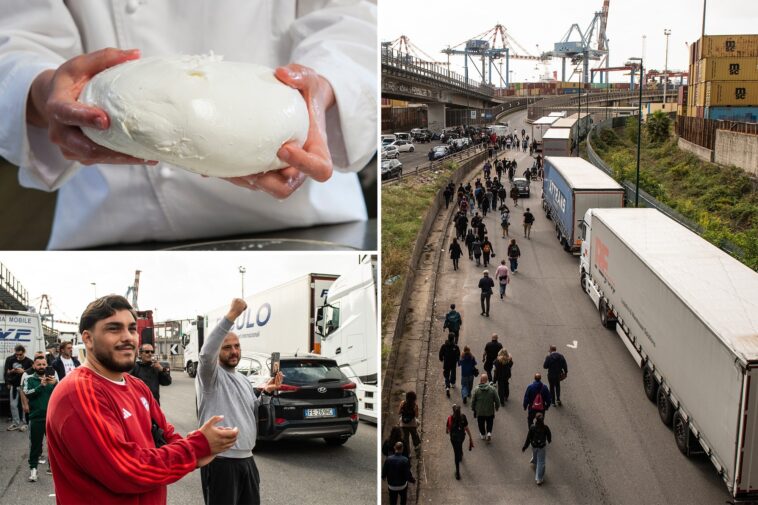 a-truckers’-protest-halts-the-production-of-italy’s-famed-buffalo-mozzarella
