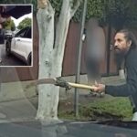 moment-madman-with-polesaw-charges-cops-before-he’s-shot-dead-in-bloody-scene