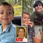 4-year-old-boy-mauled-to-death-by-american-bully-dog:-‘he-didn’t-deserve-this’