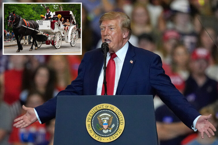trump-slams-nyc’s-horse-carriage-ban,-calling-central-park-activity-‘a-great-tradition’