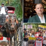 horse-carriage-union-sues-nyc-moments-after-politicians-vote-to-end-central-park-tradition