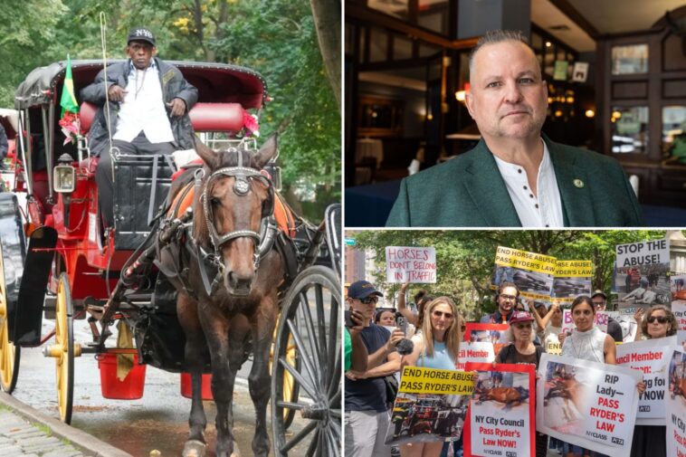 horse-carriage-union-sues-nyc-moments-after-politicians-vote-to-end-central-park-tradition