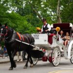nyc-council-bans-horse-carriages-in-veto-proof-vote-that-will-end-150-year-old-central-park-tradition