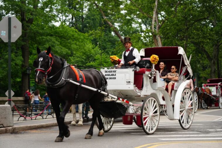 nyc-council-bans-horse-carriages-in-veto-proof-vote-that-will-end-150-year-old-central-park-tradition