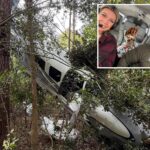 pilot,-wife-and-dogs-survive-dramatic-tree-top-crash-landing-after-plane-suffers-engine-failure:-‘just-pray’