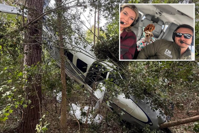 pilot,-wife-and-dogs-survive-dramatic-tree-top-crash-landing-after-plane-suffers-engine-failure:-‘just-pray’