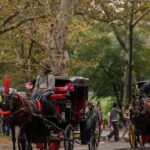 nyc-votes-to-end-nearly-170-year-old-horse-carriage-tradition-as-trump-blasts-ban,-drivers-threaten-lawsuit