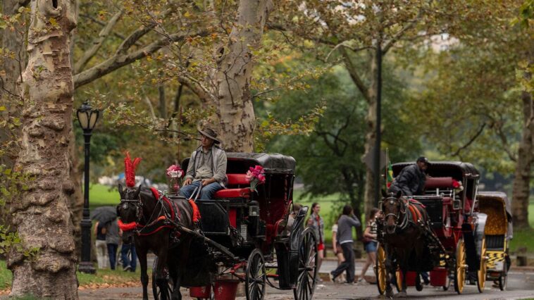 nyc-votes-to-end-nearly-170-year-old-horse-carriage-tradition-as-trump-blasts-ban,-drivers-threaten-lawsuit