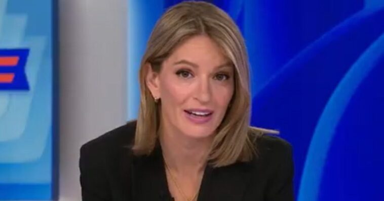 katy-tur-of-msnow-says-she-is-having-doubts-about-midterm-polling-in-texas-after-traveling-there-(video)