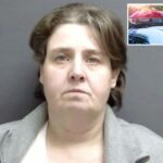 illinois-woman-intentionally-drove-car-head-on-into-tractor-trailer-with-mom-and-son-in-plot-to-kill-‘all-occupants’:-cops