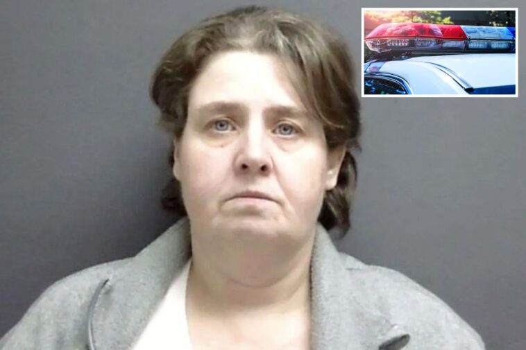 illinois-woman-intentionally-drove-car-head-on-into-tractor-trailer-with-mom-and-son-in-plot-to-kill-‘all-occupants’:-cops