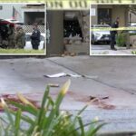 teen-girl-killed-in-la-home-as-suspect-left-critically-injured-after-suicide-attempt