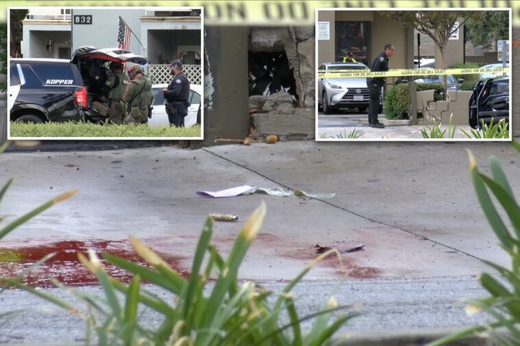 teen-girl-killed-in-la-home-as-suspect-left-critically-injured-after-suicide-attempt