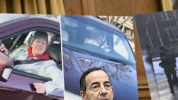 raskin:-musk-‘an-immigrant’-‘who-never-really-inhaled-the-real-values’-of-us,-trump-admin.-‘reviles-immigrants’