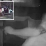 heroic-south-african-dad-kills-armed-carjacker-in-gunfight-with-gang-as-he-shields-daughter-from-bullets