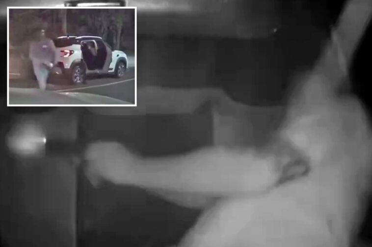 heroic-south-african-dad-kills-armed-carjacker-in-gunfight-with-gang-as-he-shields-daughter-from-bullets