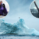 canadian-pro-cliff-diver-molly-carlson-makes-history-as-she-becomes-first-woman-to-dive-off-iceberg