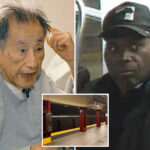astrophysics-professor,-90,-needed-hip-replacement-after-vile-stranger-shoves-him-off-nyc-subway:-‘who-does-this?’
