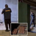 queens-girl,-6,-hit-by-falling-brick-in-every-new-yorker’s-worst-nightmare