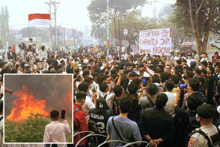 toxic-haze-covering-southeast-asian-cities-sparks-student-protests-in-indonesia:-‘if-we-burn,-you-burn-with-us!’
