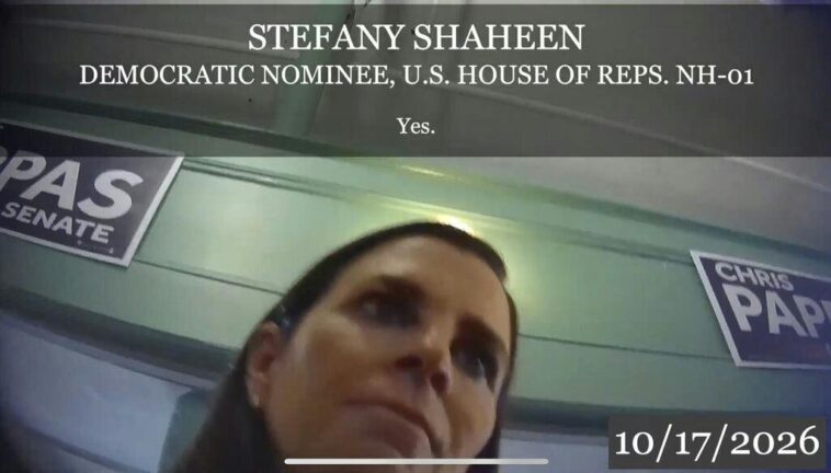 exclusive:-undercover-video-catches-dem-calling-to-put-ice-agents-‘out-of-work’