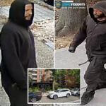 granny-pushing-child-in-stroller-randomly-punched-in-broad-daylight-nyc-attack