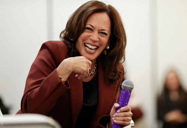 the-democrat-dream-team-with-unlimited-ambition-and-zero-intelligence