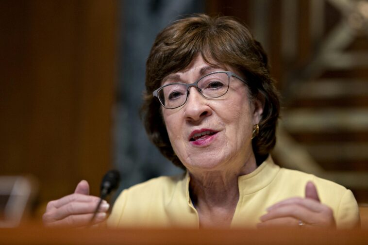 susan-collins-gets-an-unexpected-lifeline-from-trump-in-senate-nail-biter