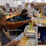 la-feds-move-to-halt-ballot-counting-over-20k-suspected-noncitizen-voters