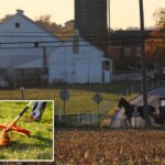 amish-woman-uses-weed-whacker-to-scare-off-illegal-migrant-allegedly-threatening-to-kidnap-her-at-knifepoint