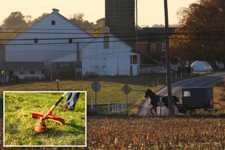 amish-woman-uses-weed-whacker-to-scare-off-illegal-migrant-allegedly-threatening-to-kidnap-her-at-knifepoint