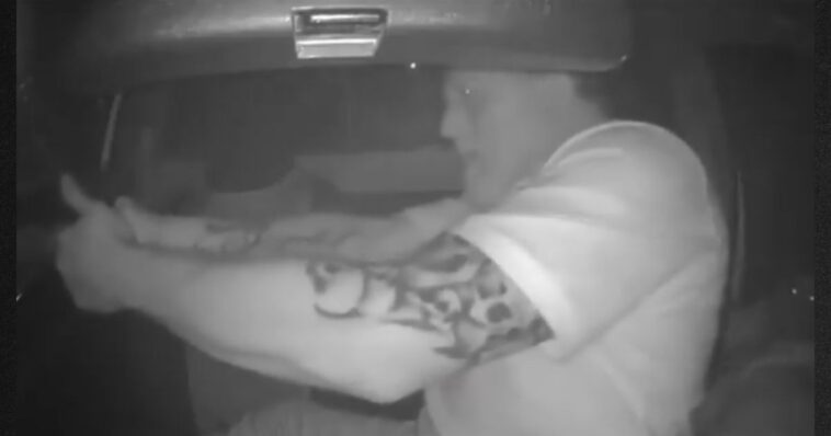 incredible-video:-heroic-dad-fights-off-gang-of-carjackers-while-protecting-daughter,-shoots-1-dead