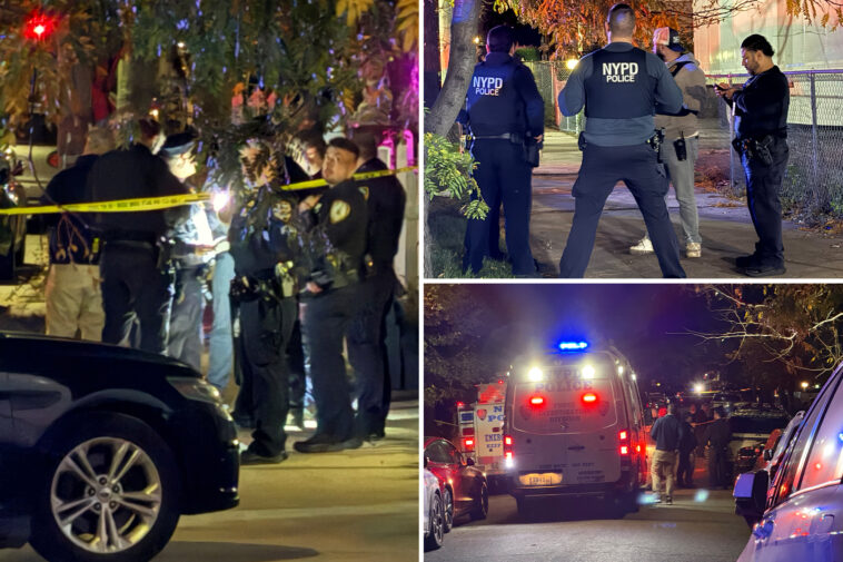 four-stabbed,-suspect-shot-by-cops-during-botched-nyc-home-robbery:-sources