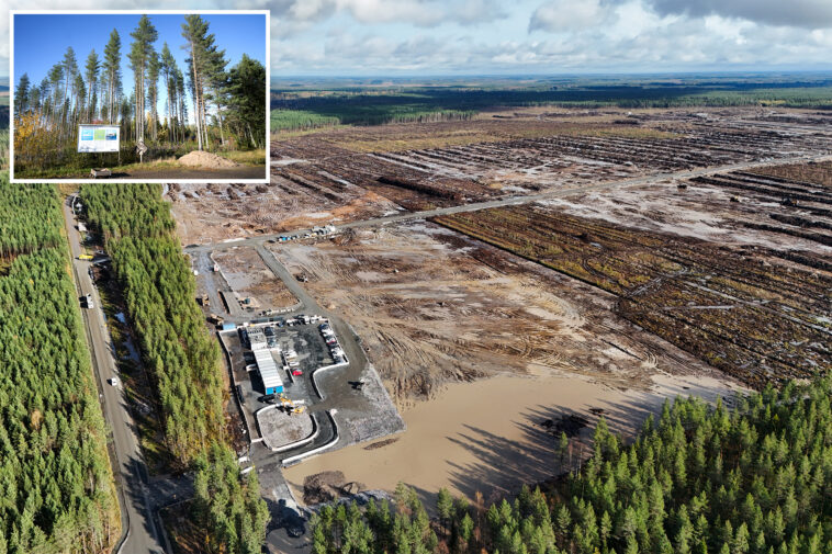 google-illegally-cut-down-250k-trees-in-finland-for-data-center,-driving-wolves-into-villages-and-infuriating-locals:-report