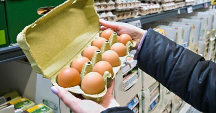 egg-price-fixing-shouldn’t-be-just-another-cost-of-doing-business