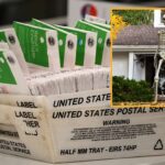 millions-of-12-foot-tall-lawn-skeletons-discovered-on-dem-voter-rolls