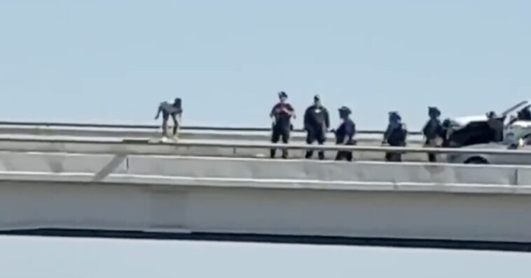 tragic-video:-man-jumps-to-his-death-from-dallas-highway-bridge-after-hours-long-swat-standoff-—-police-unable-to-save-him-as-horrified-officers-look-on