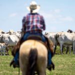 hunters-and-ranchers-enlisted-in-battle-against-spread-of-flesh-eating-parasite