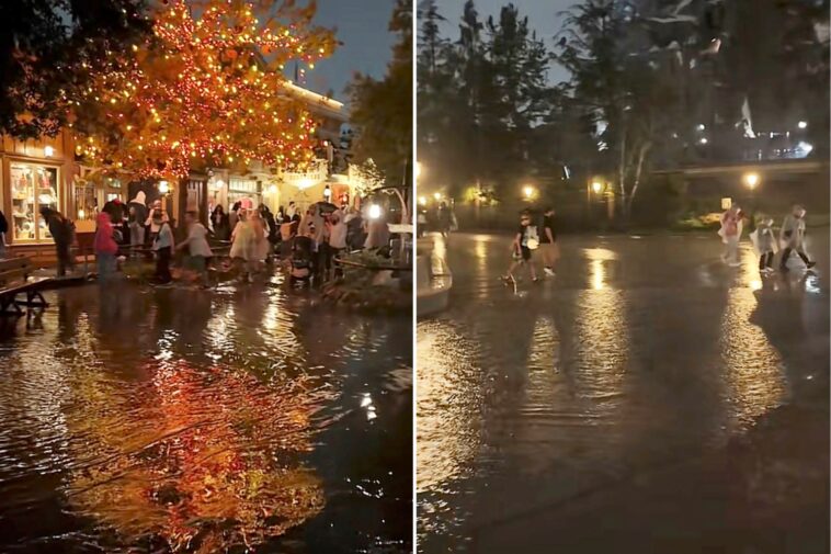 freak-floods-hit-disneyland-as-guests-left-scrambling-for-higher-ground:-‘i-was-all-wet-bro’