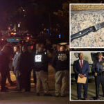 queens-woman-shot-by-nypd-cops-after-picking-up-berzerk-brother’s-knife:-family