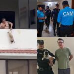 ex-soccer-player-arrested-for-allegedly-dangling-pug-by-leg-off-balcony