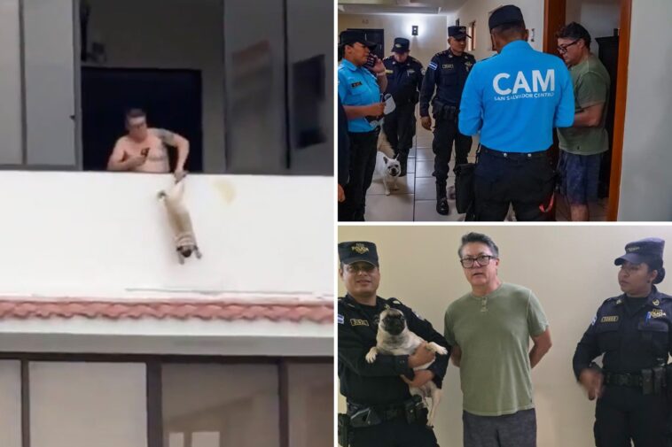 ex-soccer-player-arrested-for-allegedly-dangling-pug-by-leg-off-balcony