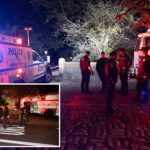 nyc-woman-sexually-assaulted-at-knifepoint-in-central-park:-cops
