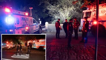 nyc-woman-sexually-assaulted-at-knifepoint-in-central-park:-cops